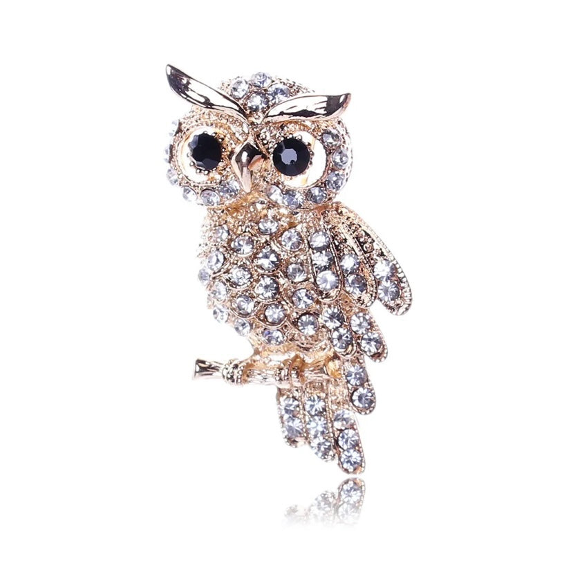 Silver/Gold Owl Brooch