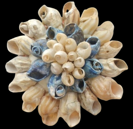 Vintage Seashell Brooch
Handmade